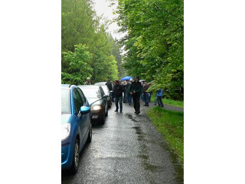Foto 42